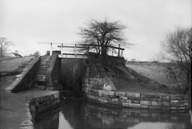 Hollinwood Branch Canal, Daisy Nook