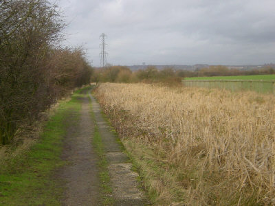 Hollinwood Canal, Littlemoss