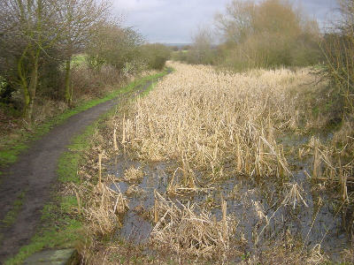 Cinderland Bridge, Littlemoss