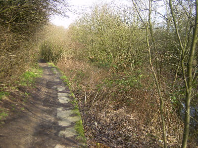 Hollinwood Canal, Littlemoss