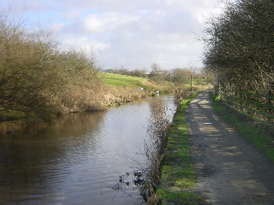 Hollinwood Canal, Daisy Nook