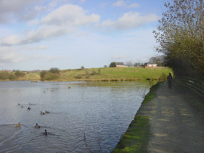 Crime Lake, Hollinwood Canal