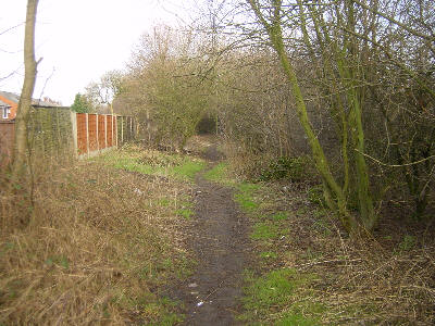 Hollinwood Canal route, Cutler Hill