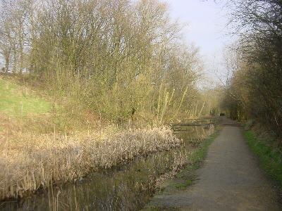 Fairbottom Branch Canal